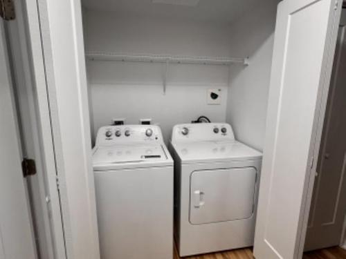 1 bedroom apartment for rent in Montreal - Le Plateau-Mont-Royal — photo 14