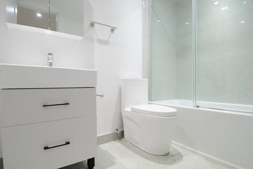 Appartement de 1 chambre à louer à Montreal - Le Plateau-Mont-Royal — photo 3