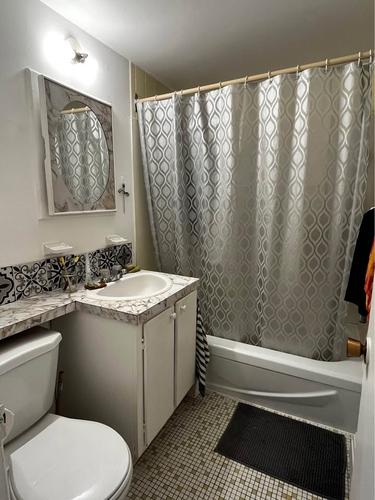 Appartement de 2 chambres à louer à Montreal - Le Plateau-Mont-Royal — photo 9