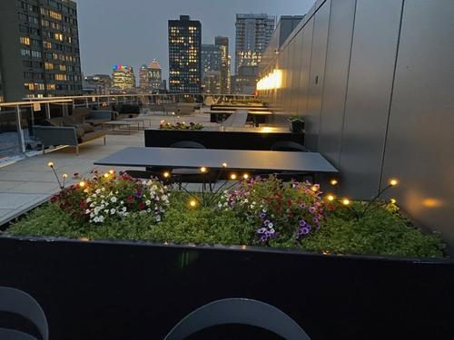 5 bedrooms apartment for rent in Montreal - Ville-Marie — photo 6