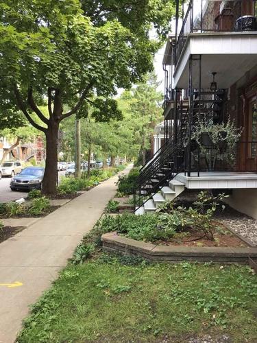 1 bedroom apartment for rent in Montreal - Rosemont–La Petite-Patrie — photo 21