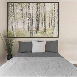 1 bedroom apartment for rent in Montreal - Rosemont–La Petite-Patrie — photo 11