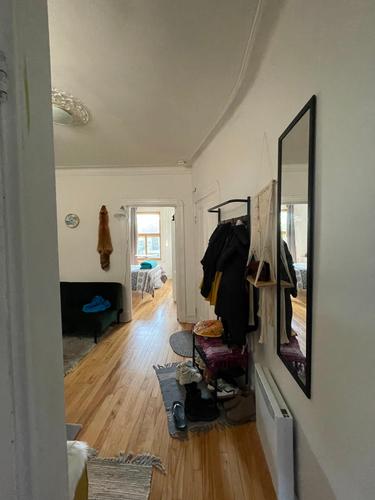 Appartement de 1 chambre à louer à Montreal - Le Plateau-Mont-Royal — photo 3