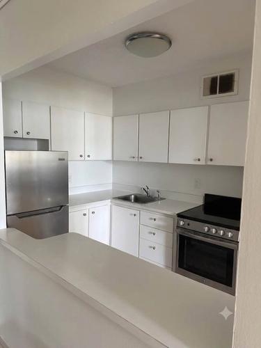 1 bedroom apartment for rent in Montreal - Le Plateau-Mont-Royal — photo 3
