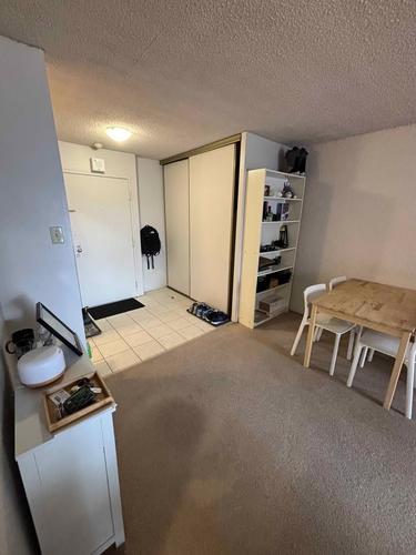 1 bedroom apartment for rent in Montreal - Le Plateau-Mont-Royal — photo 6