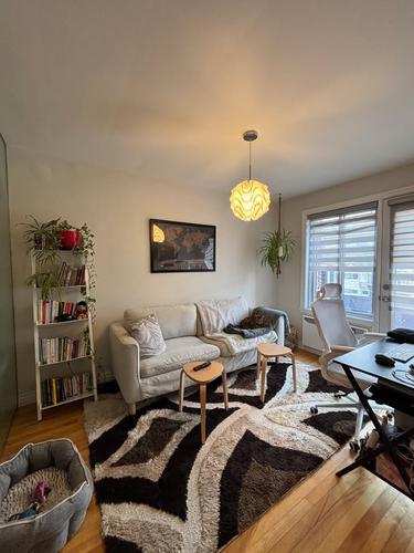 1 bedroom apartment for rent in Montreal - Rosemont–La Petite-Patrie — photo 3