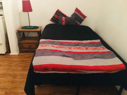 Studio for rent in Montreal - Le Plateau-Mont-Royal — photo 5