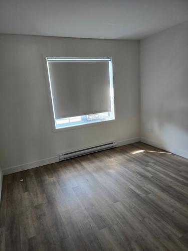 2 bedrooms apartment for rent in Sherbrooke — photo 3