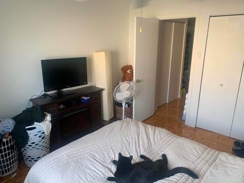 1 bedroom apartment for rent in Longueuil — photo 3