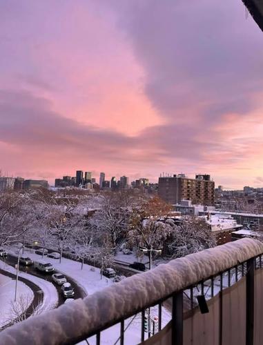 1 bedroom apartment for rent in Montreal - Le Plateau-Mont-Royal — photo 12